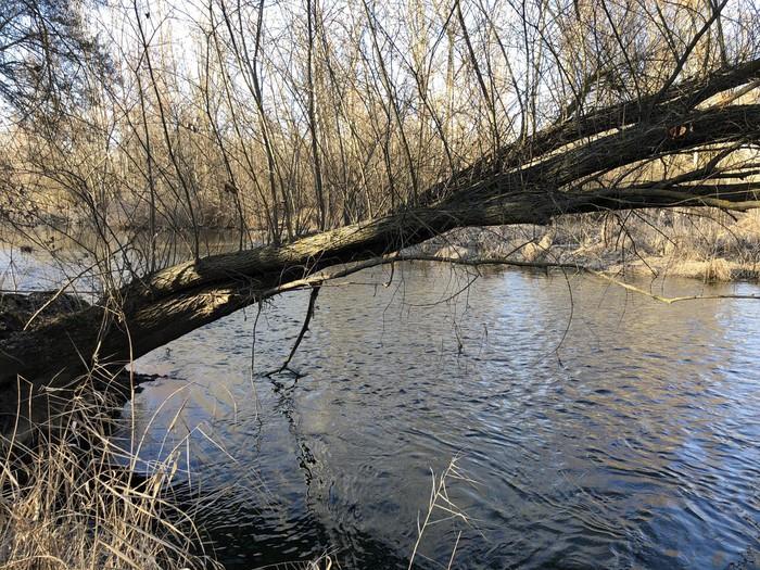 Esla VII - Pesca del Cangrejo