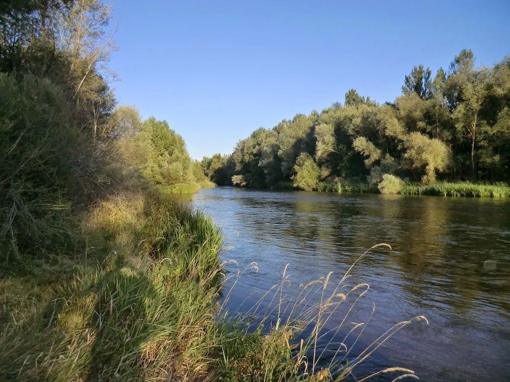 Gradefes - Pesca del Cangrejo (Río Esla)
