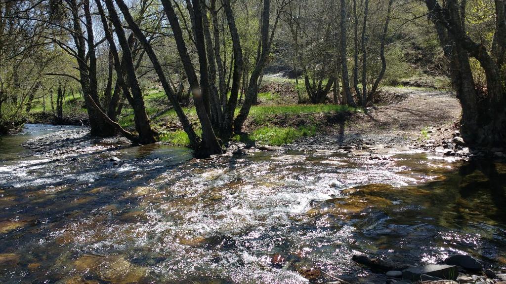 Villameca - Pesca del Cangrejo (Río Tuerto)