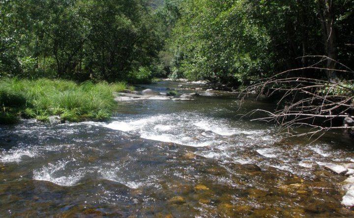 Cabrera I - Pesca del Cangrejo ( Cabrera)