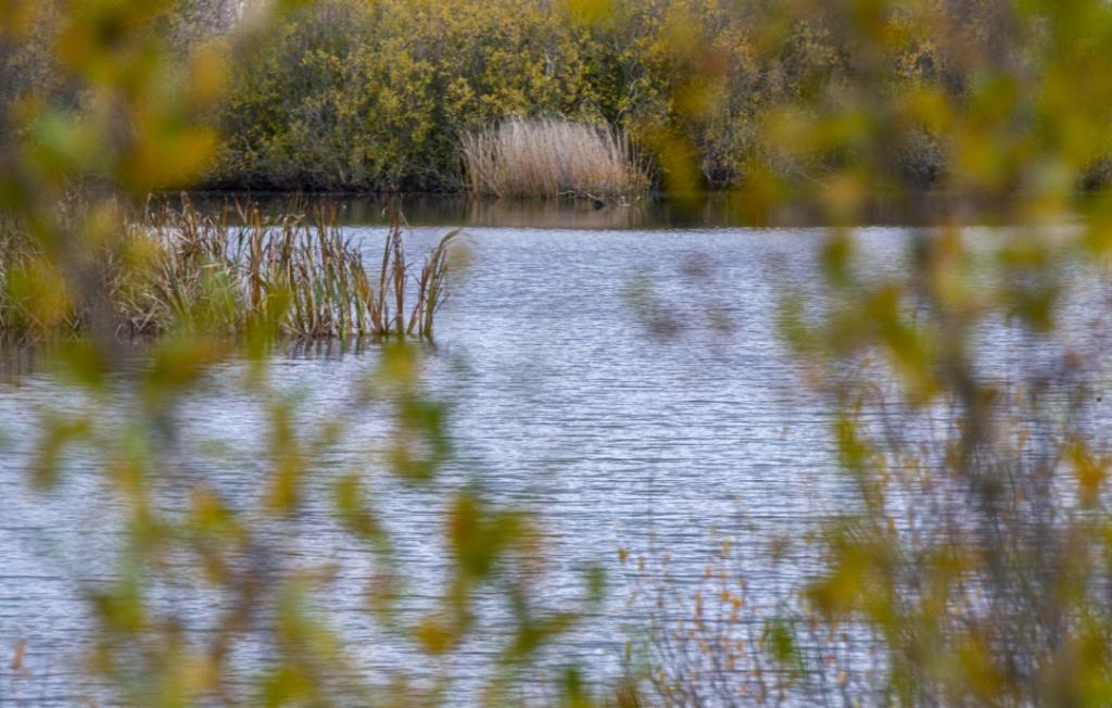 Laguna de Villadangos del Páramo - Pesca del Cangrejo