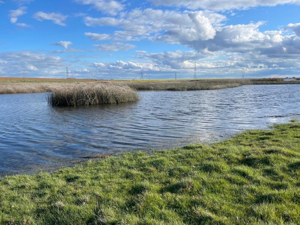 Lagunas Sentiz - Pesca del Cangrejo