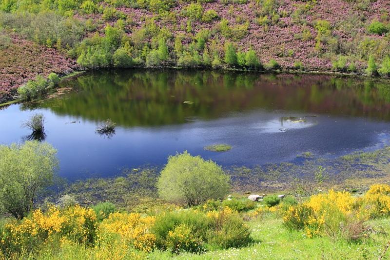 Laguna de la Mata 1 - Pesca del Cangrejo