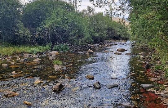 Arroyo de Naves - Refugio de Pesca