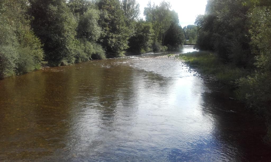 Río Llamas - Refugio de Pesca