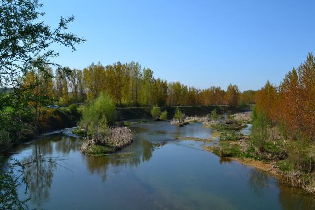 Río Cea - Refugio de Pesca