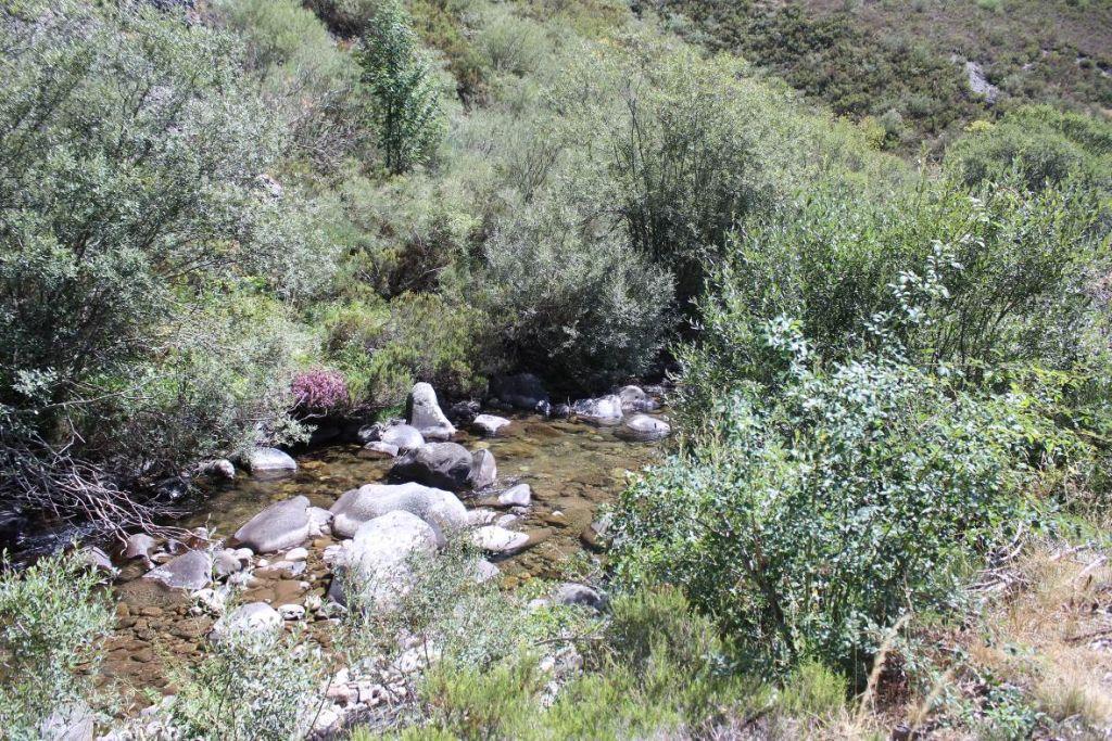 Rio de Lechada - Refugio de Pesca