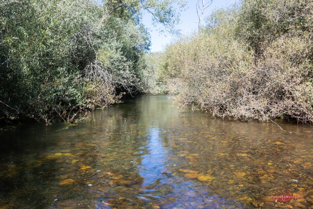 AREC Celadilla - Pesca del Cangrejo (Río Carrión)