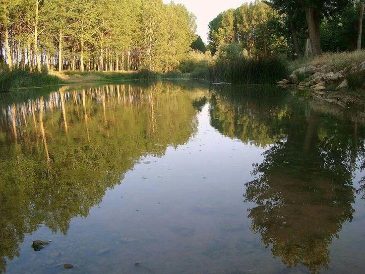 AREC Valdavia - Pesca del Cangrejo