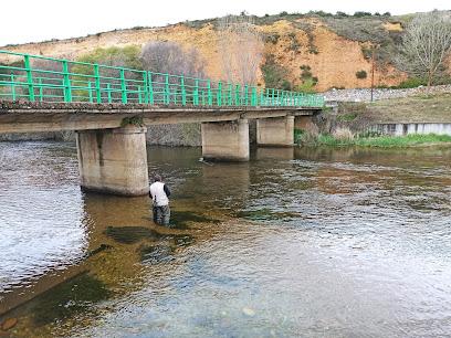 Coto Carrión IV Palencia - Excepcion de Fechas