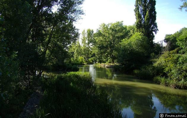 Coto Carrión V Palencia - Excepcion de Fechas