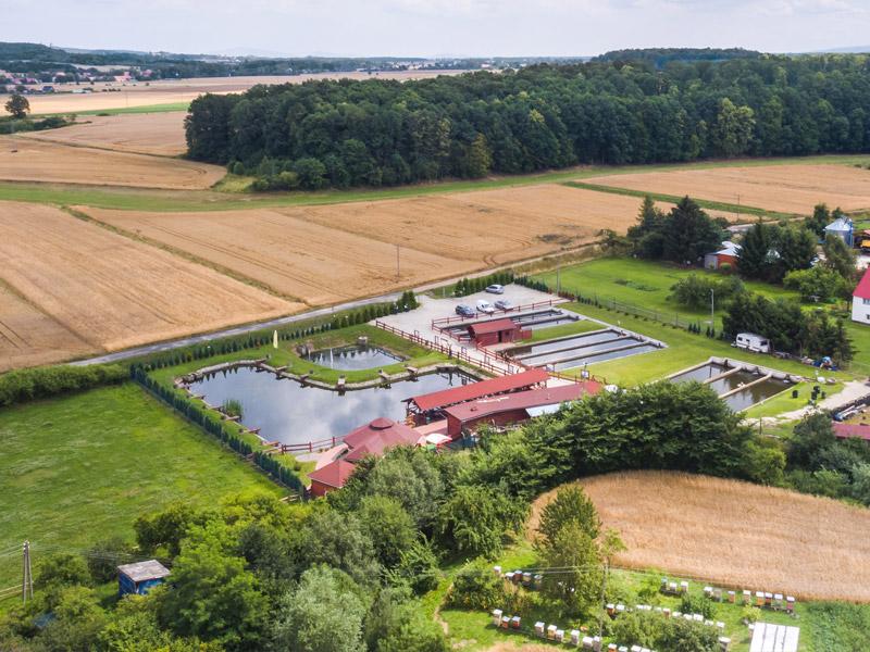 Łowisko Pan Pstrąg