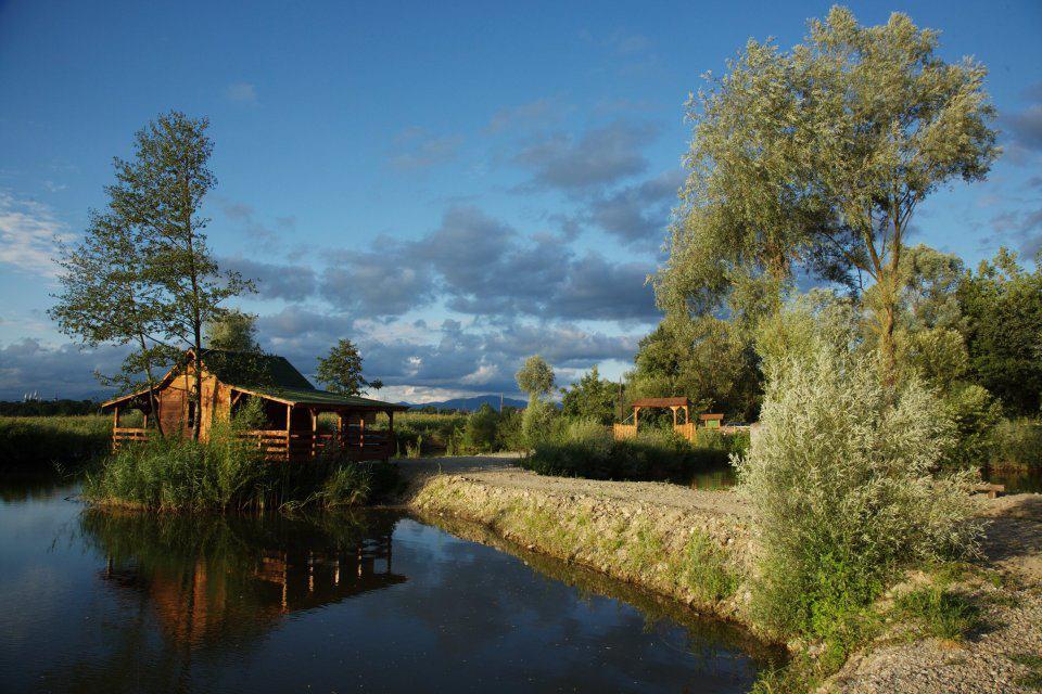 Balta Mircea Remetea Chioarului