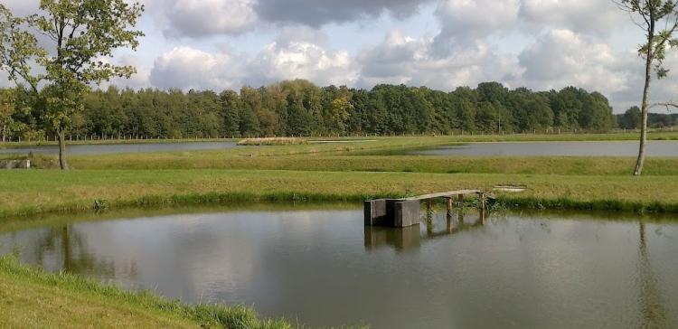 Łowisko Dolina Krynki