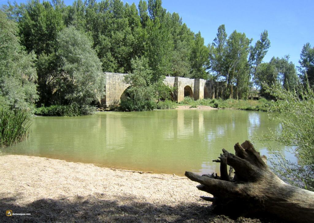 Coto Pisuerga VII Palencia - Excepcion de Fechas