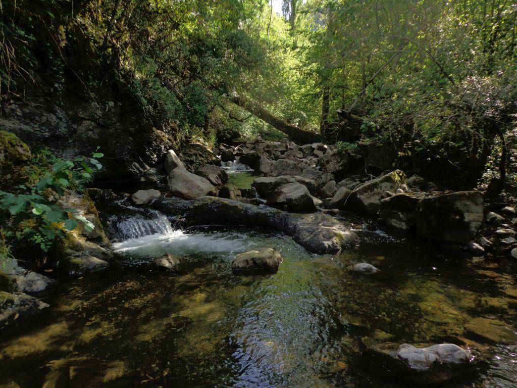 Arroyo Cayuela - Refugio de Pesca