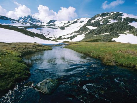 Cuerpo de Hombre II - Excepcion de Fecha - Pesca del Cangrejo