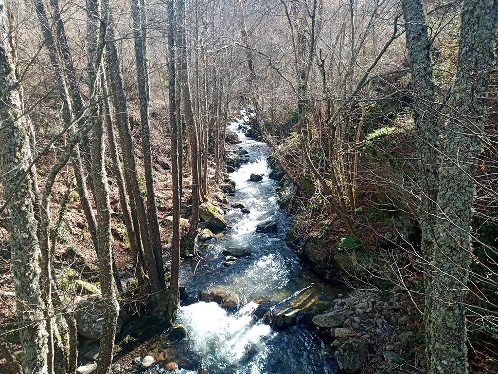 Arroyo del Barquillo - Refugio de Pesca