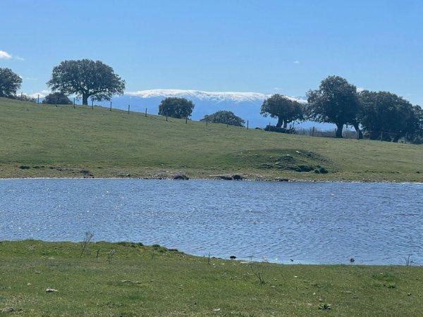 Charca del Campo - Refugio de Pesca