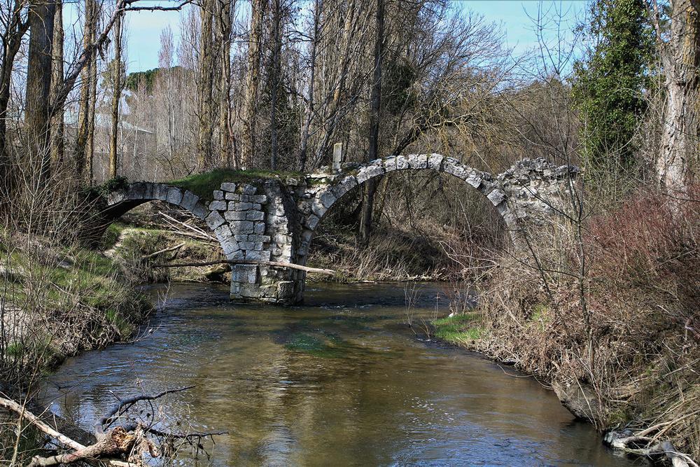 Coto Puente Segoviano - Pesca del Cangrejo (Río Cega)
