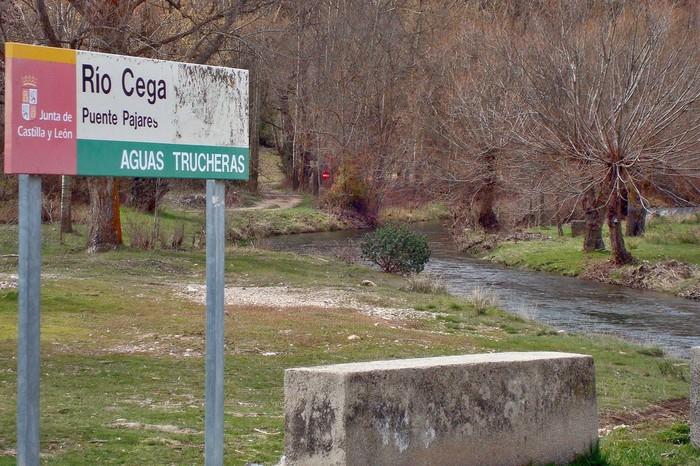 Coto Pajares - Pesca del Cangrejo (Río Cega)