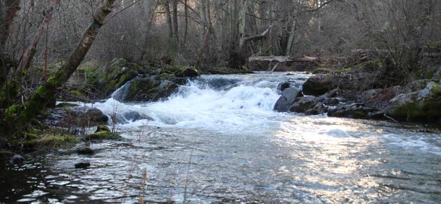 Coto La Serreta - Pesca del Cangrejo (Río Cega)