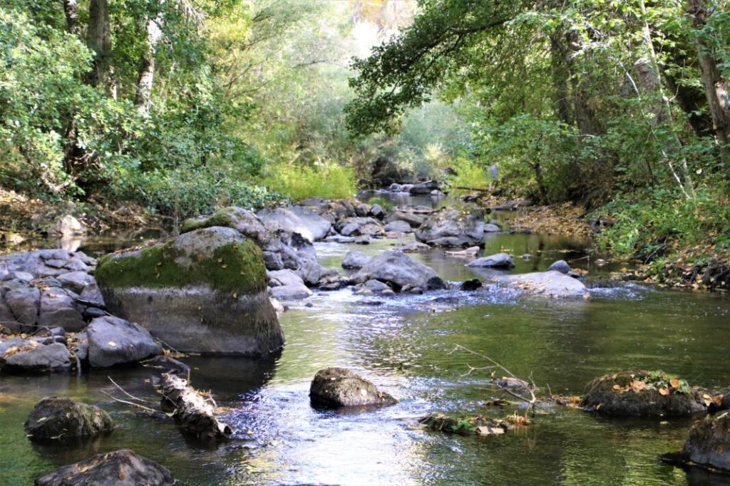 Coto Cega II - Excepcion de Fecha