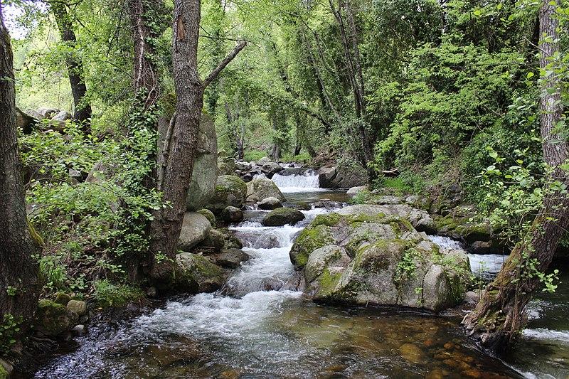 Arroyo de Vadillo - Refugio de Pesca
