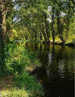 Eresma - Refugio de Pesca (Segovia)
