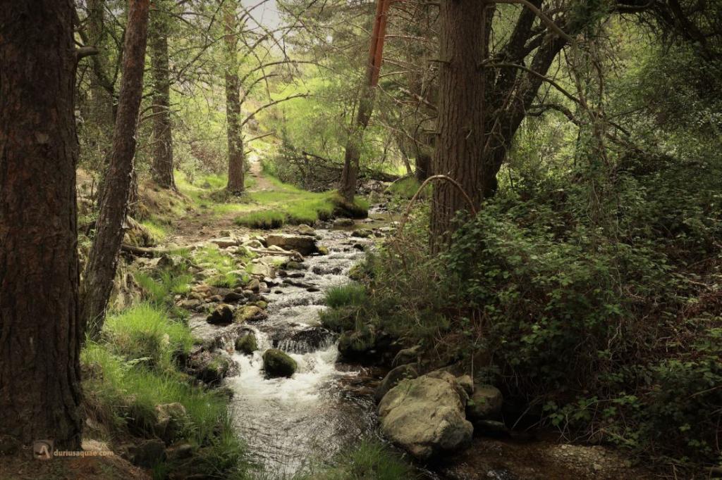 Río Acebedas - Refugio de Pesca