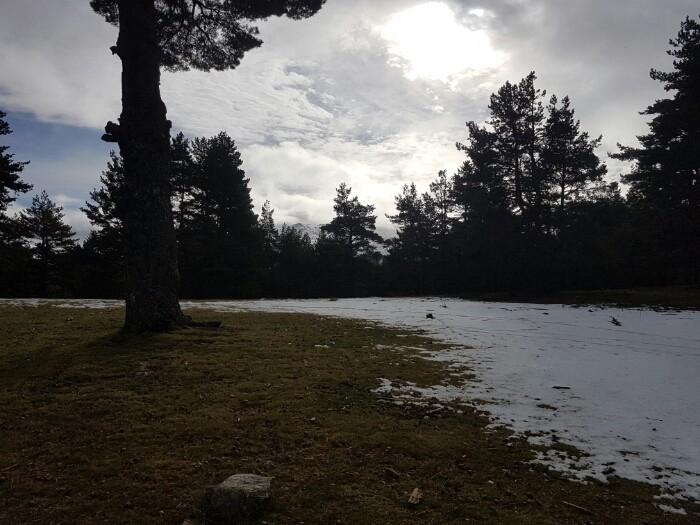 Río Peces - Refugio de Pesca