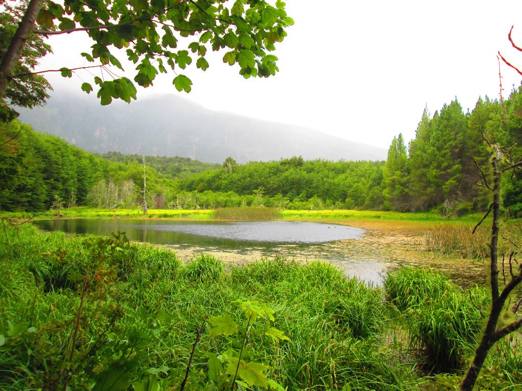 Laguna del Sapo - Refugio de Pesca