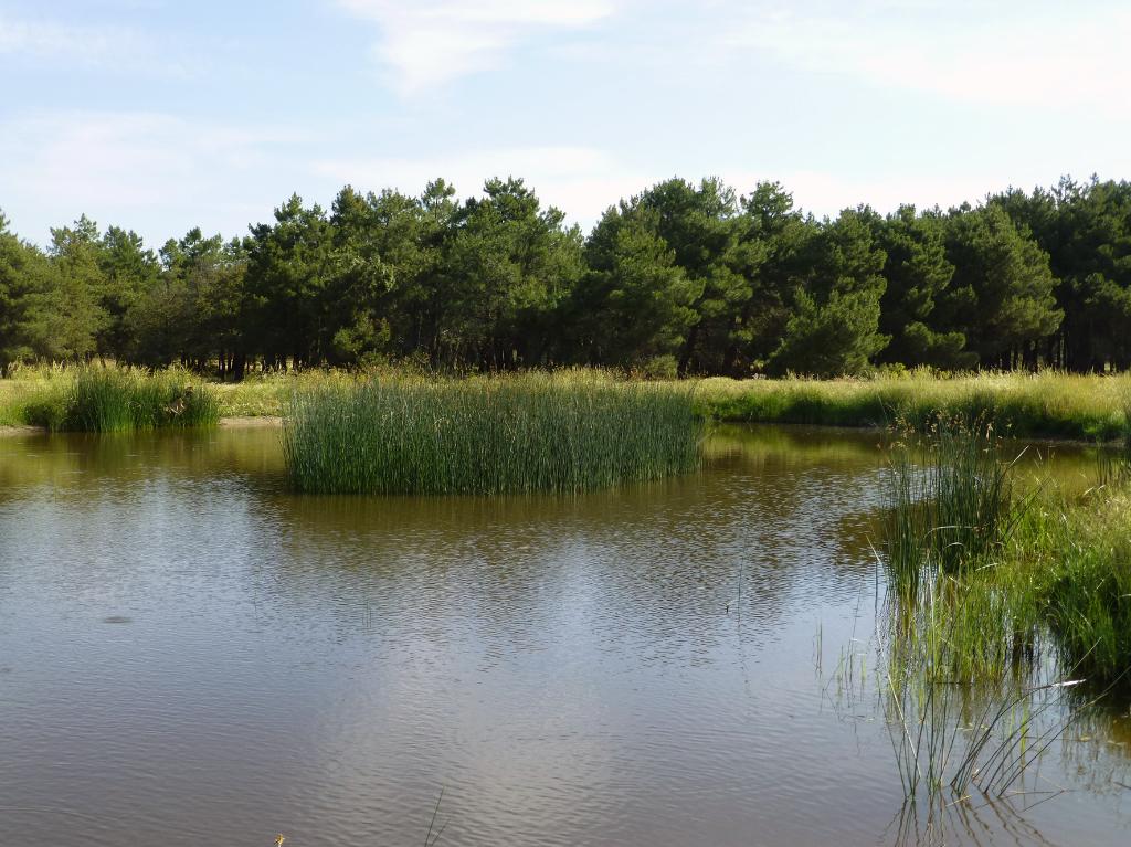 Laguna de los Sotillos Encimeros - Refugio de Pesca
