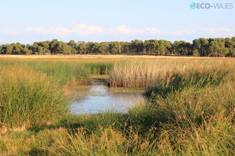 Laguna Muña - Refugio de Pesca