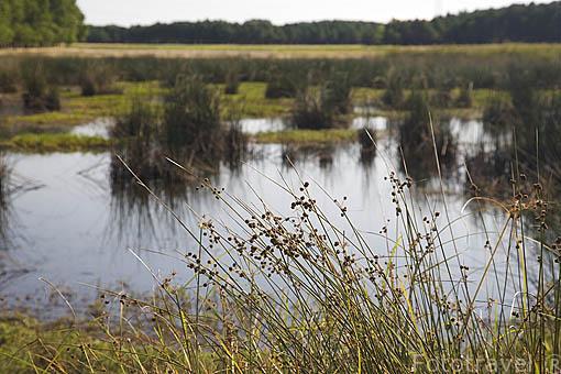 Laguna de Navahornos - Refugio de Pesca