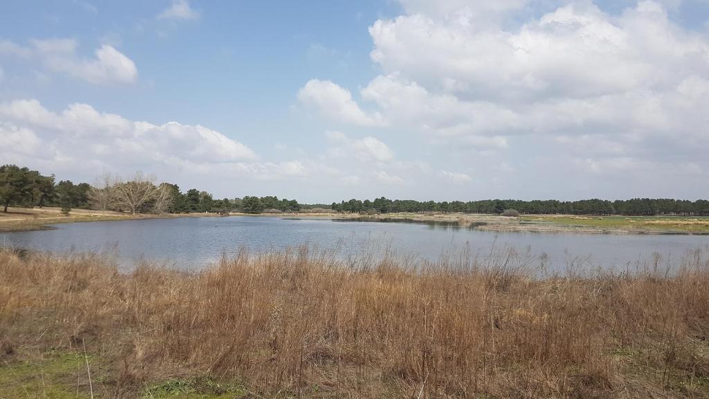 Laguna de la Cerrada - Refugio de Pesca