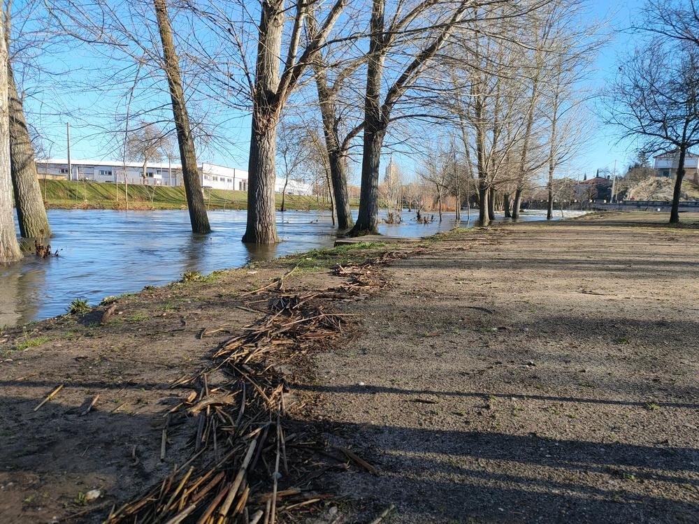 AREC Olmeda (Río Duero)