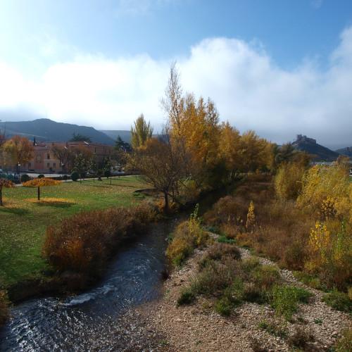 AREC Osma (Río Duero)
