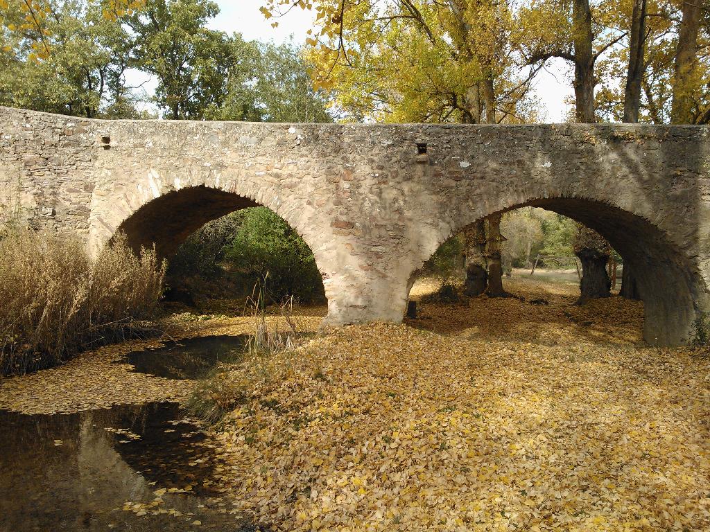 Río Araviana - Excepcion de Fecha (Soria)