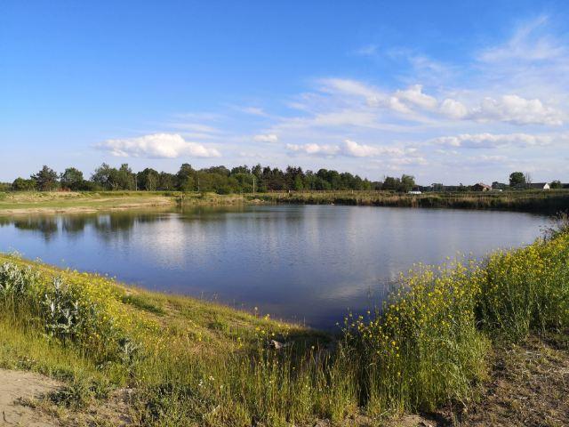 Łowisko "Pod Lasem"