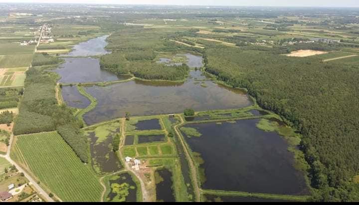 Łowisko i Smażalnia Ryb 