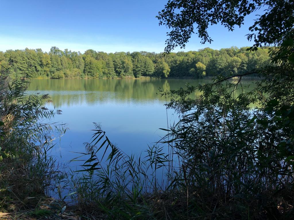 Leśna Przystań Łowisko