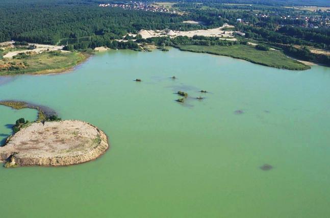 Łowisko Dziergowice 