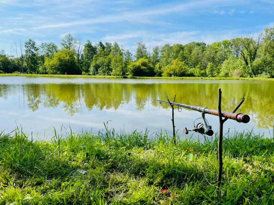 Staw wędkarski - Viktoria