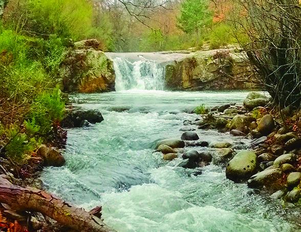 Río Razon IV - Pesca del Cangrejo (Soria)