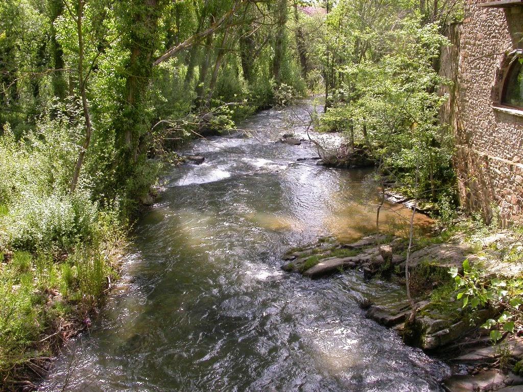 Río Tera II - Pesca del Cangrejo (Soria)