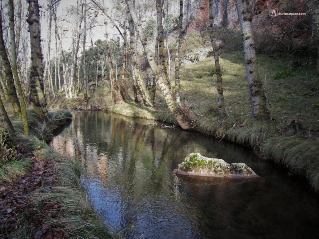 Río Caracena - Pesca del Cangrejo (Soria)