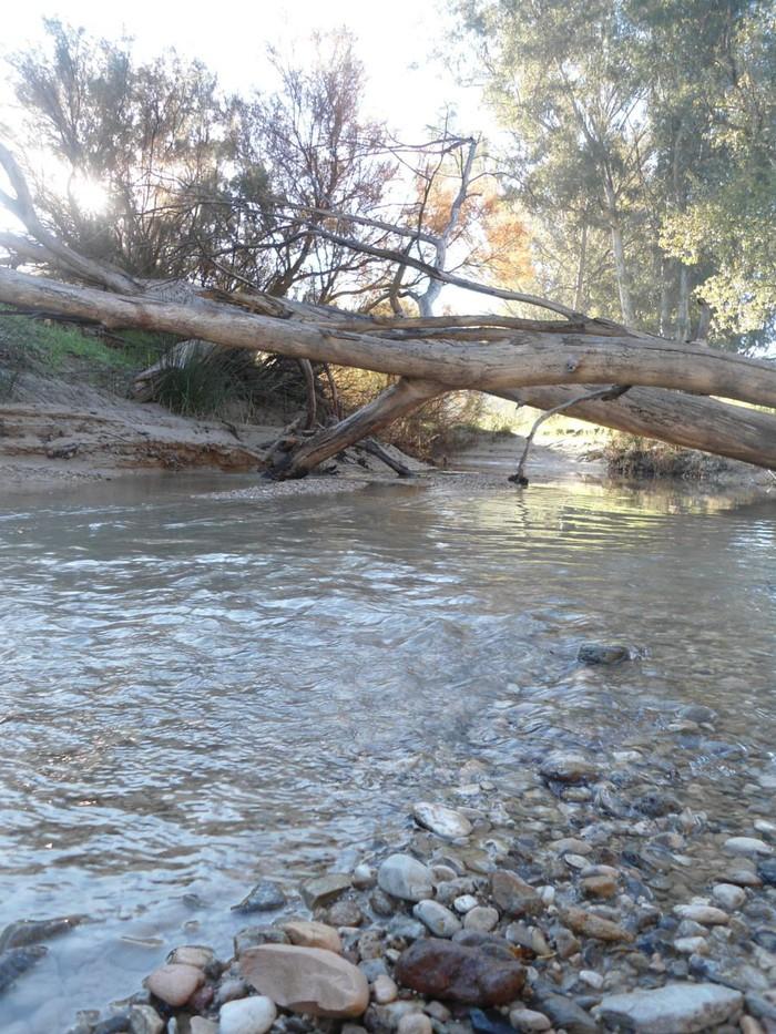Arroyo de Lobos - Refugio de Pesca