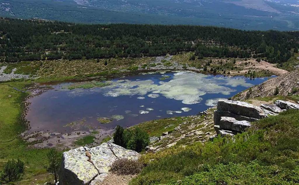 Laguna de los Llanos - Refugio de Pesca