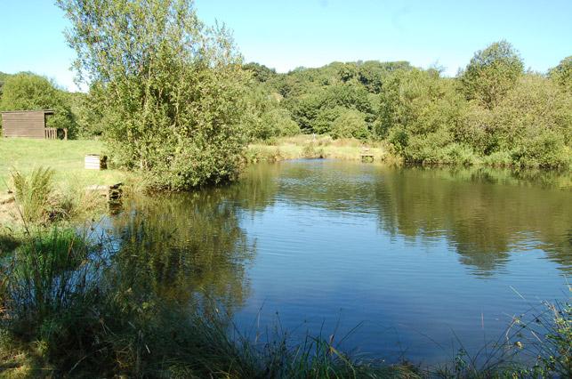 Cottages On Dartmoor & Tavistock Trout Fishery